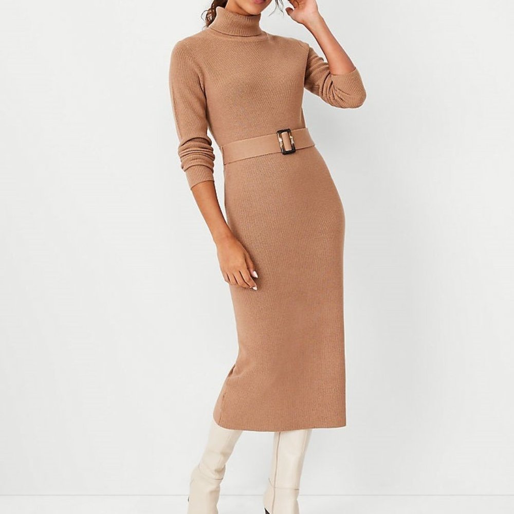 Ann Taylor Belted Turtleneck Sweater Dress